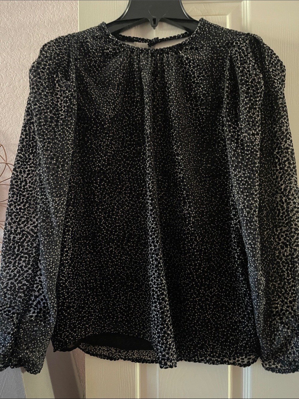 Express Black Sheer Long-Sleeve Blouse with Subtle Sparkle